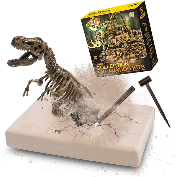 Dig Up Dinosaurs Skeleton