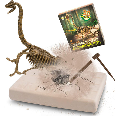 Dig Up Dinosaurs Skeleton